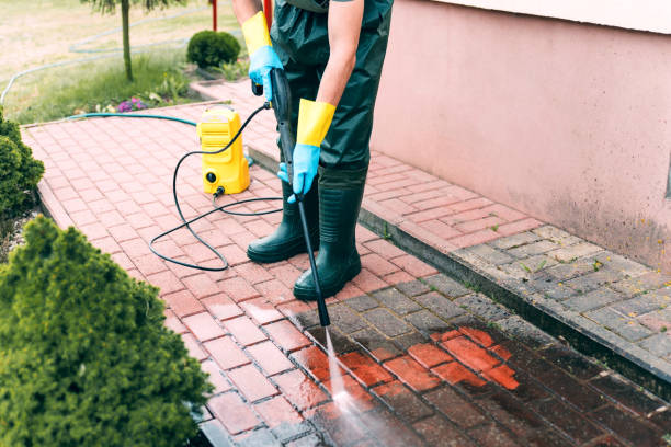 Animal Enclosure Cleaning in Salem, MA